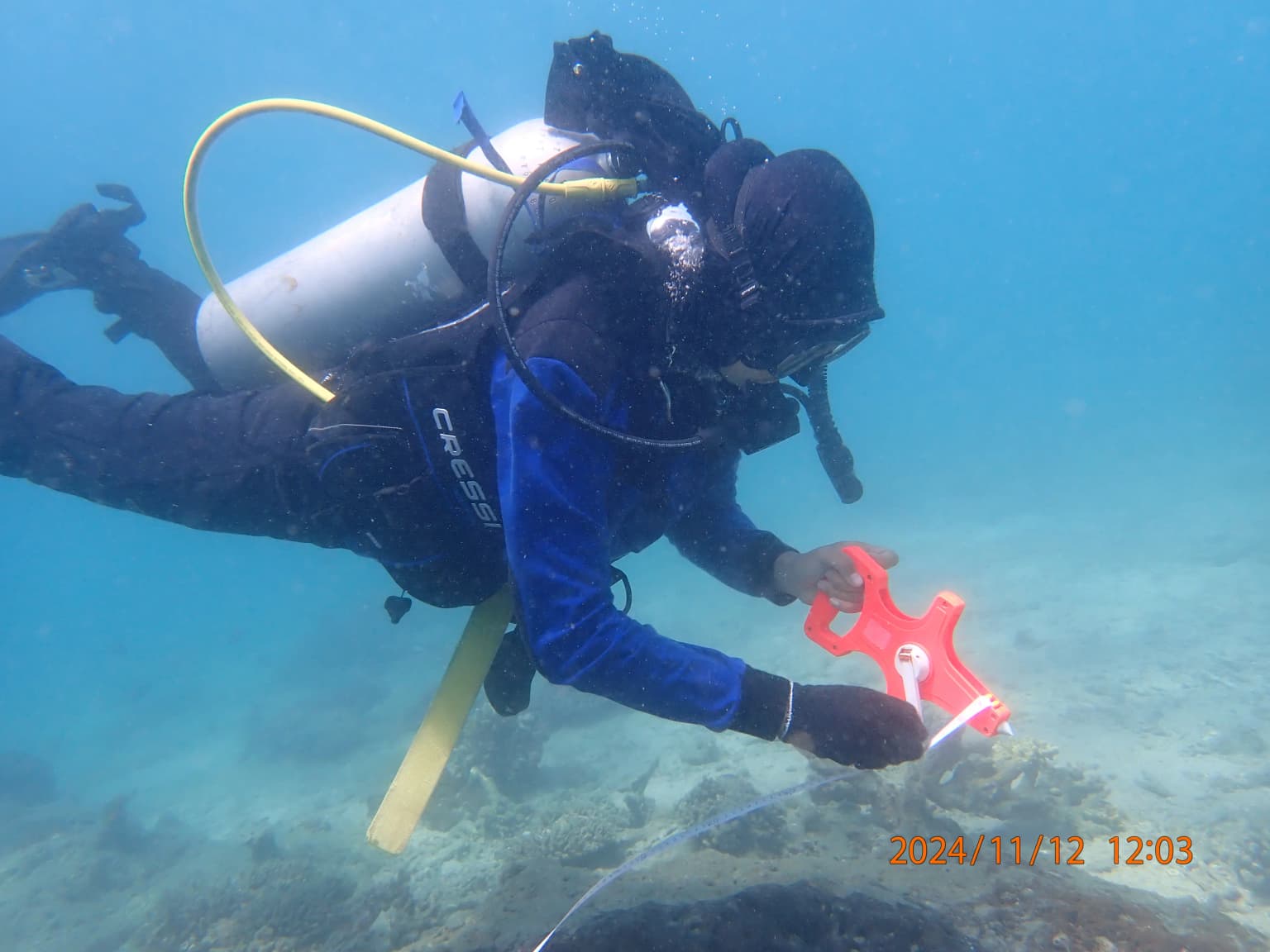 Divers exploring a coral reef during a marine conservation activity