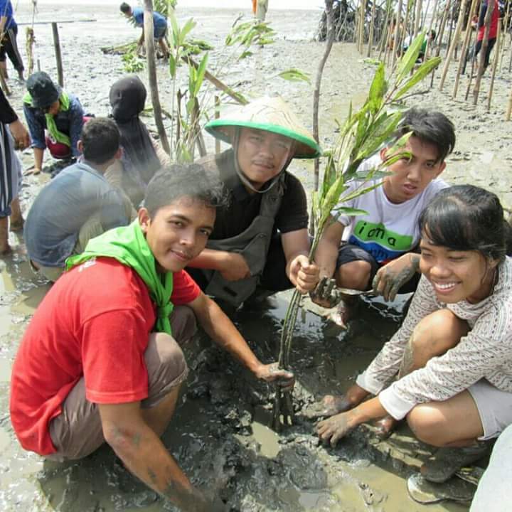 Volunteers planting young mangrove trees along a muddy shoreline with lush greenery in the background. The mood is hopeful and collaborative.