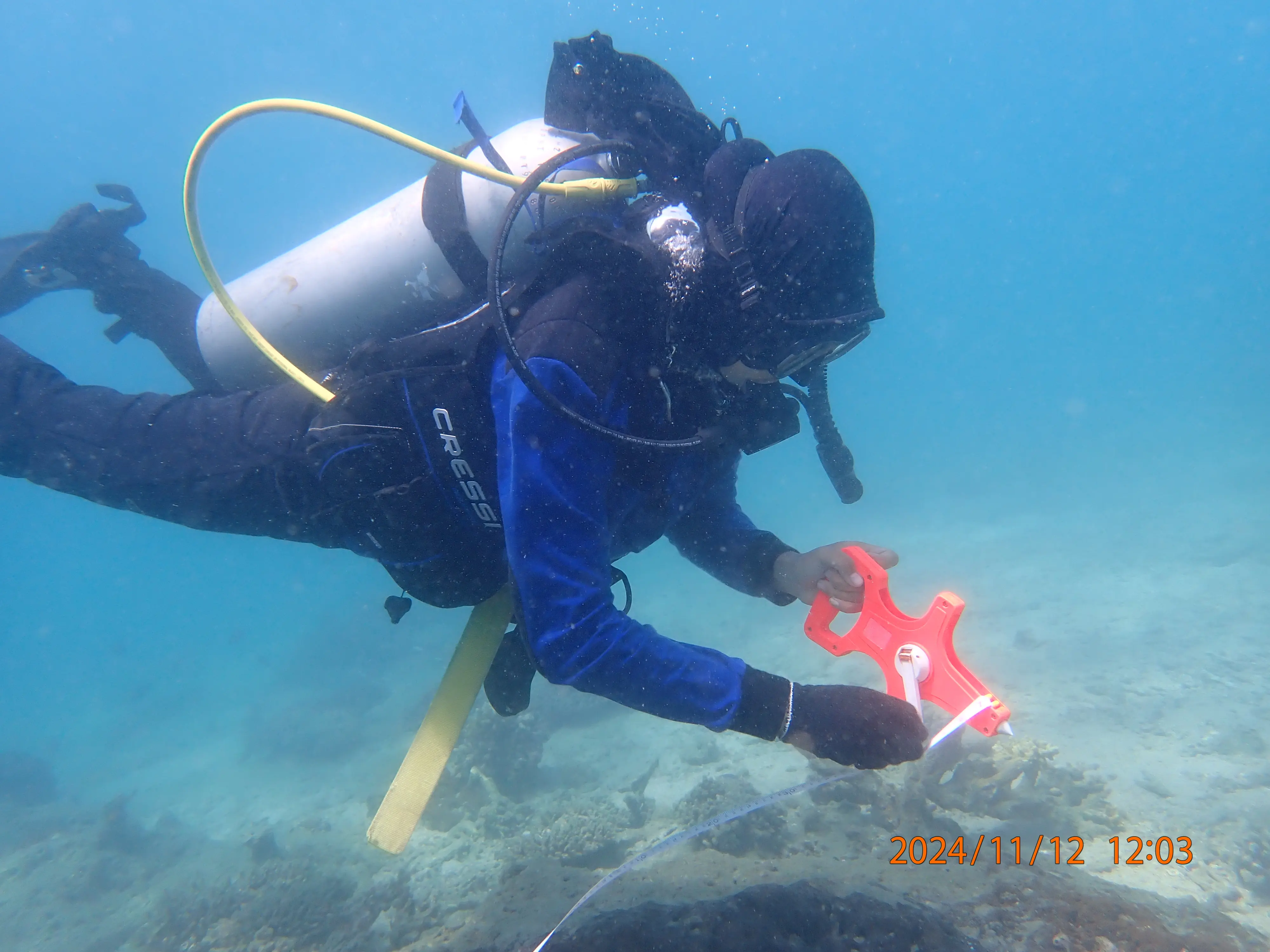 Group of divers in wetsuits exploring a coral reef underwater, surrounded by marine life and sunlight filtering through the water. The atmosphere is adventurous and energetic.