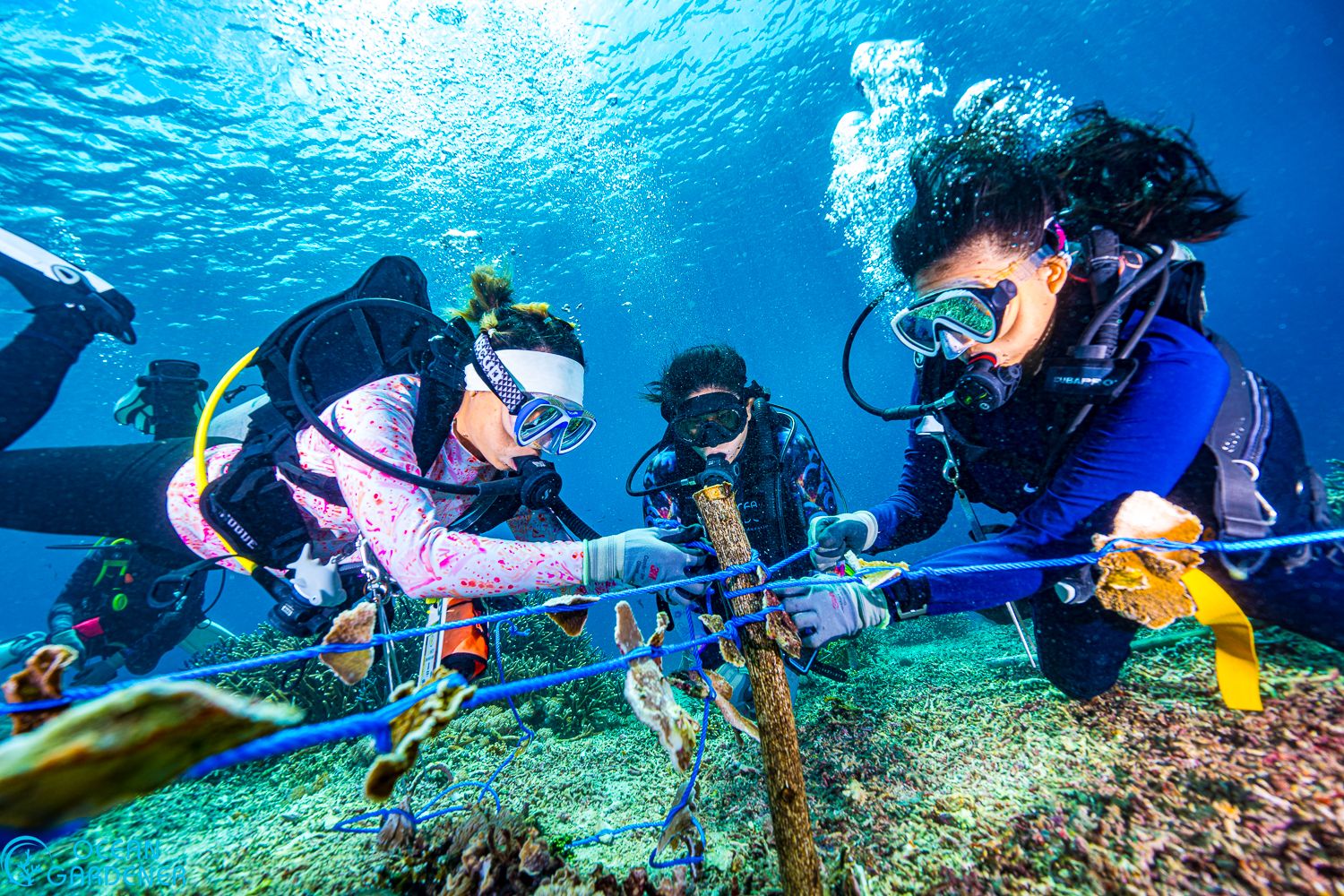 Team members gathered together in wetsuits on a boat, smiling and looking toward the camera with the ocean and blue sky in the background. The group appears enthusiastic and united, conveying a sense of teamwork and optimism for marine conservation. No visible text in the image.